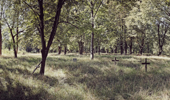 Opuszczony cmentarz na samotnej