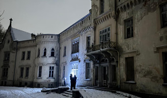 Pałac w szalejowie dolnym