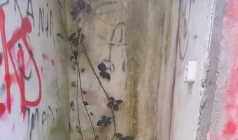 Spalone gospodarstwo w Łodzi