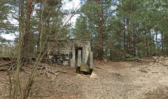 Opuszczone bunkry sowieckie, zielonka