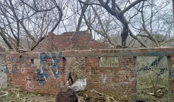 Ruiny kilku domów w lasku - photo 4/4