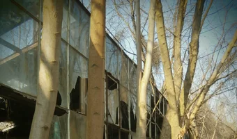 Opuszczone szklarnie