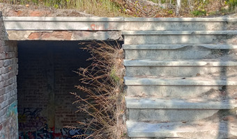 Zakład dla nerwowo i psychicznie chorych Żydów - zofiówka