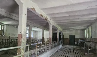 INSTYTUT HODOWLI BYDŁA, BRWINÓW
