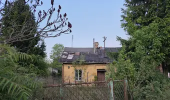 Żółty dom