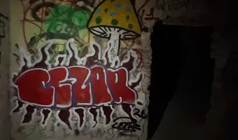Zakład dla Nerwowo i Psychicznie Chorych Żydów - Zofiówka