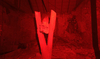 Spalone domy w parku,