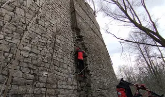 Wapiennik Bordowicza
