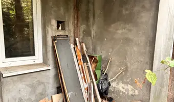 Mocno zarośnięty dom przy drodze