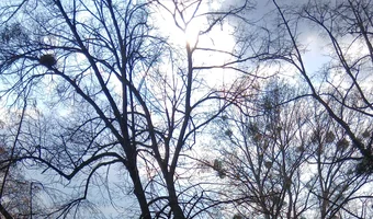 Opuszczona willa - zdjęcie 2/4