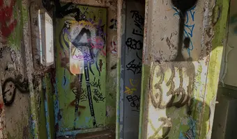 Pchacz łoś-k17 - zdjęcie 2/4