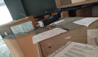 Złota Sosna