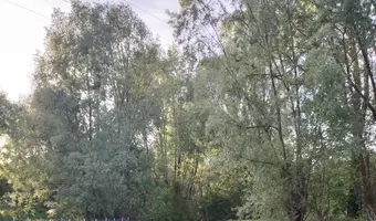 Stary zapomniany teren retencyjny - zdjęcie 4/4