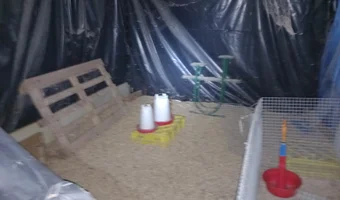 Opuszczony kompleks budynków