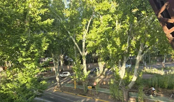 Opuszczony most kolejowy