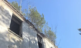 Zakład dla nerwowo i psychicznie chorych Żydów - zofiówka