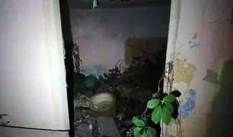 Ruina domu