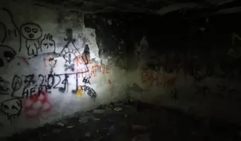Zakład dla Nerwowo i Psychicznie Chorych Żydów - Zofiówka