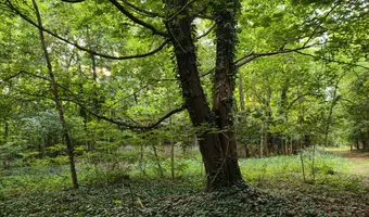 Kolonie w Justynowie, Justynów