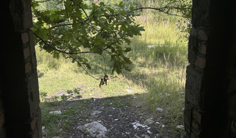 Opuszczony budynek przy torach, gliwice