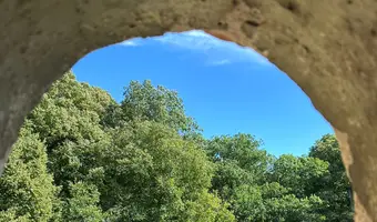 Pałac z  XIX-wieku., Dreżewo