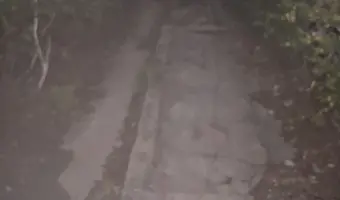 Zakład dla Nerwowo i Psychicznie Chorych Żydów - Zofiówka