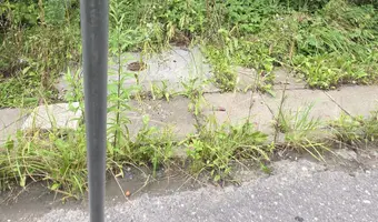 Opuszczona kamienica, Gdańsk