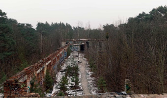 Zakład dla nerwowo i psychicznie chorych Żydów - zofiówka