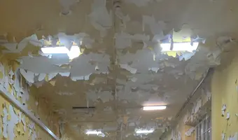 Szpital Psychiatryczny "DREWNICA"