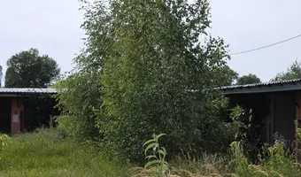 Opuszczone schronisko dla zwierząt - zdjęcie 2/4