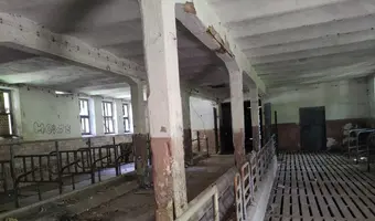 INSTYTUT HODOWLI BYDŁA, BRWINÓW