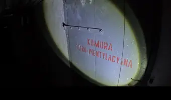 Zewnętrzne wejście do piwnicy pod blokiem