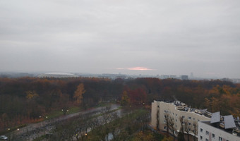 Czyżyński szkieletor