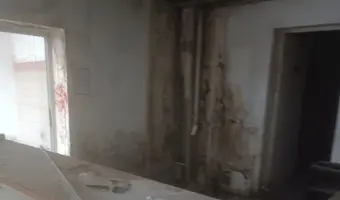 Miejskie Przedsiębiorstwo Taksówkowe