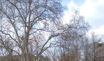 Opuszczona willa - zdjęcie 4/4