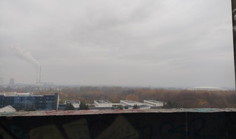 Czyżyński szkieletor