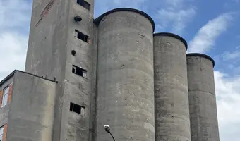 Zakłady młynarskie