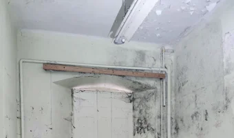 Pałac w głuchowie, głuchowo