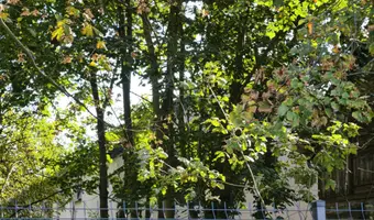 Stary młyn wodny, Kotliny - photo 2/16
