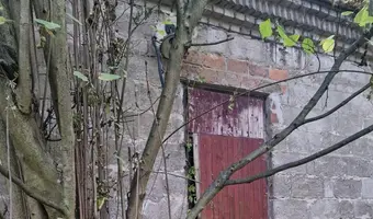 Stary dom w środku lasu