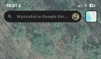 Szkółka roślin ozdobnych - zdjęcie 4/4