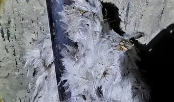 Dawny Zakład Produkcji Specjalnej / Podziemna Fabryka