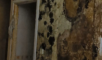 Opuszczona kamienica