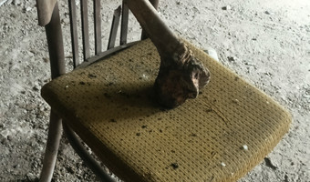 Opuszczony budynek na ul. modrzewiowej, stalowa wola
