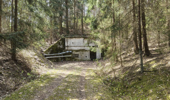 Radiówek, wiązowna