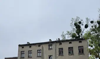 Opuszczona kamienica - photo 4/4