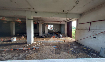 Ferma drobiu