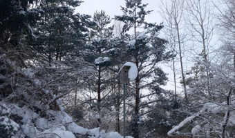 Opuszczone gospodarstwo