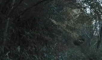 Nanasha Shrine
