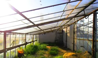 Opuszczone gospodarstwo